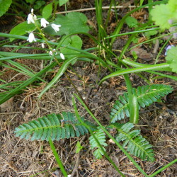 DSCN9882f64fdbe379e222a5