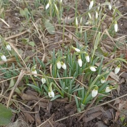 IMG_20250310_14275808df7b3a48f3ceaa