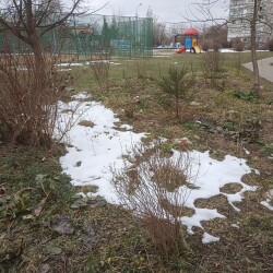 IMG_20250413_120739903ec3d9d368f527