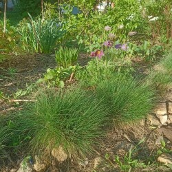 IMG_20250503_180027e6ada2a633e17288