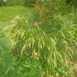 IMG_20250623_14334301b81487a8170a88