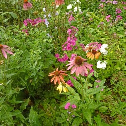 IMG_20250728_14541572e7da9135aed97a