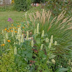 IMG_20250825_154356223af52b481b15e3