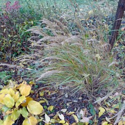 IMG_20251021_12090246780d043e860ea8