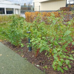 IMG_20251030_121015ab91a14e954ca6a8