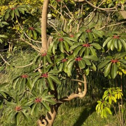 IMG-20251122-WA0000e408fa49c1a0e358