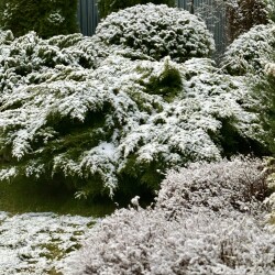 IMG_09896bd7f6f82f93cd1e