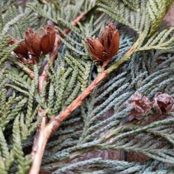 IMG_20251207_095223edf74d2b4dac0de9