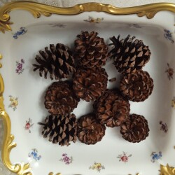 SOSNA-11-DEKb0545ee64321b77d