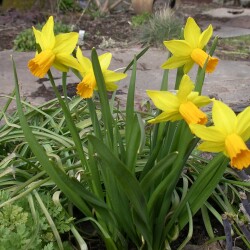 IMGP2396K792423fc8c346da1