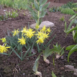 IMGP2471765348be28952259