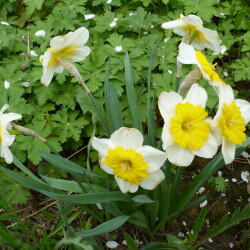 P11005406b40d5dd62c6de3a