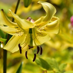 PzlswQfi78dMavwePQ6l0yZ5l8isJAYP2OIa1uZ95GjEzBlCBQcQC7PSgexlXjosJQk8Wzya87pdU2GtGcD_2dXf6b399a18a0161179