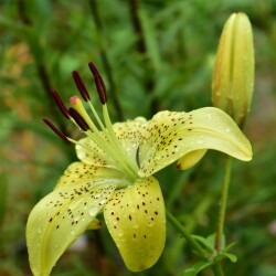 R8qMIyxsaLrFZiBp-qHF_4ce2-pauiJbt8zl79_PZViLpd-xHbzpj6vlKkrwmcf_JB3sr_l2HlR80-_T_A_kO2k76e1585258494e659