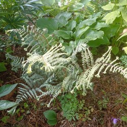 IMG_20250707_080554fe143655c3b33f74