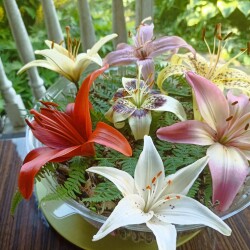 IMG_20250726_0922186495d2a7200c74b9