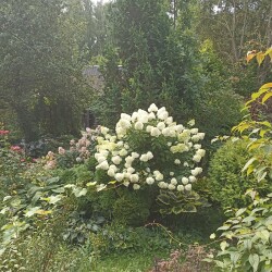 IMG_20250809_0920010ddff2a20edc7059