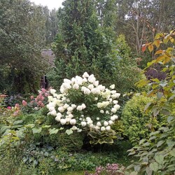 IMG_20250817_070020311b1f6a4f2cc6e5