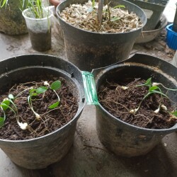 IMG_20250824_15525294b3b637cd83ccc6