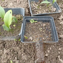 IMG_20250826_124140218be110350c1fd1