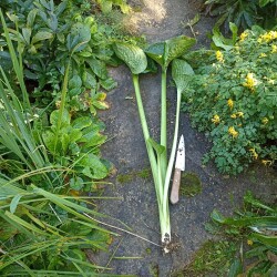 IMG_20250901_0856443a4a2428549629b0