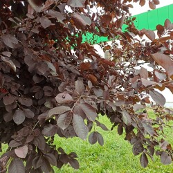 IMG_20250904_080514df5703695fe0e36d