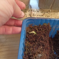 IMG_20250909_1739273c3a2aaaba172e23