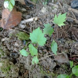 IMG_20250914_162345b3f66c10268fd89b