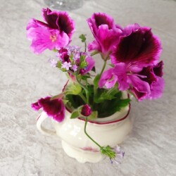 pelar-16-janf8636d6590edec7a