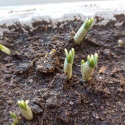 IMG_20250309_10102245cbf8e295a120b5