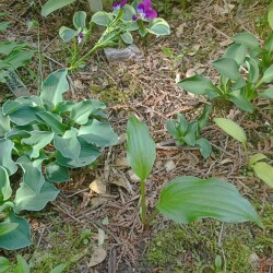 IMG_20250612_155056d0bc03a2e77daa68