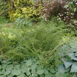 IMG_20250612_180915f012e7495abfca1d