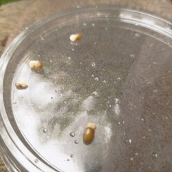 IMG_20250618_080201d36371417e4d71ba