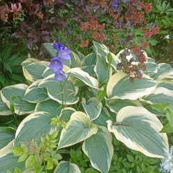 IMG_20250628_1132053729b72155a25016