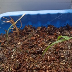 IMG_20250630_0759363f2c8ef16cc315ea