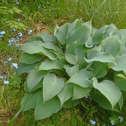 IMG_20250531_1157248afe83a849fdbd42