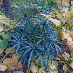 IMG_20251012_144621d3b497703ec0e16e