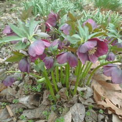 IMG_20250419_093310b54aa56b505cb2e6