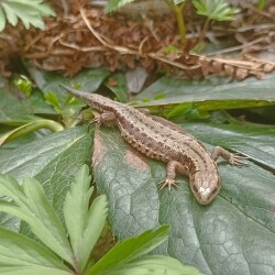 IMG_20250419_130147--KOPIY12bcb8ebb4d5a87f