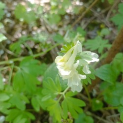 IMG_20250428_1309293ef87baf417f6c05