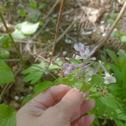 IMG_20250428_13114596b0fb6e3f7e17fc