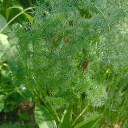 IMG_20250601_081340f7becd8eaea362bb