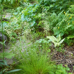 P1230490fd1bcf75c3801f72