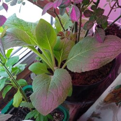 digit-7-feb809ca0db1cffe946