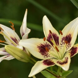 lSdZY1rO2yXfdJMTX7DCrN5GsdR85cS9LobB-vXHwmvPK6hSrAoALTIwM73D_zJ2PS-0POC4XrZdJPzTQPeFztE19256d46df75033f1