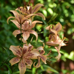 KtEwFCmsqNFtxLWsjgb93T99Ad4fhJqyVNAlqXfQYnwn_63WREeBfQuhI60gSLcRERK2OxJ5K7-hIEna61S_gI_28b5a0bc220c7383f