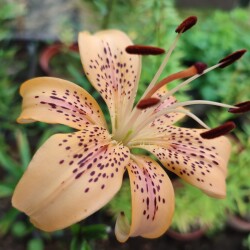 zeXn8Iql8zhmLzeCiVeUQupwH8ivCogCDFoguUySPOKIcGRnU78HfUyA_dpBvRjSZUQeGUv7tKKcA7tAEymQVp4Qbdc00a51e2b51431