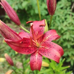 eTH7upJKVRBiQget3UUmONMVNoVKG8YfUPuKb701CyJnOvL7DpNBMjyxnyTF76hVVAOxZdIPHodxoWeHl5Dy4F6F25c21c1713ec8e7ac