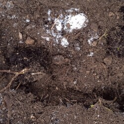 fort-14-febe2500bedd0b96ee6