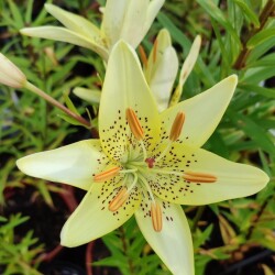 K_xyaRwdKhtR2KF51HAqE6fblzAyYGk19FR4eMQiYkUZ6XfSHrLz73qQiGjNrksxAd6Zn2o7HjGxijagym5PzaSY24fa214e796db6f40